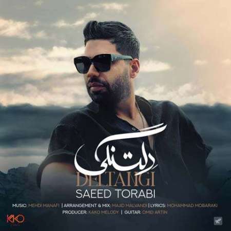 Saeed Torabi – Deltangi